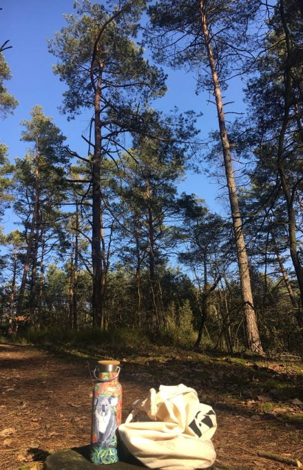 Widok termos i torba na pniu w lesie